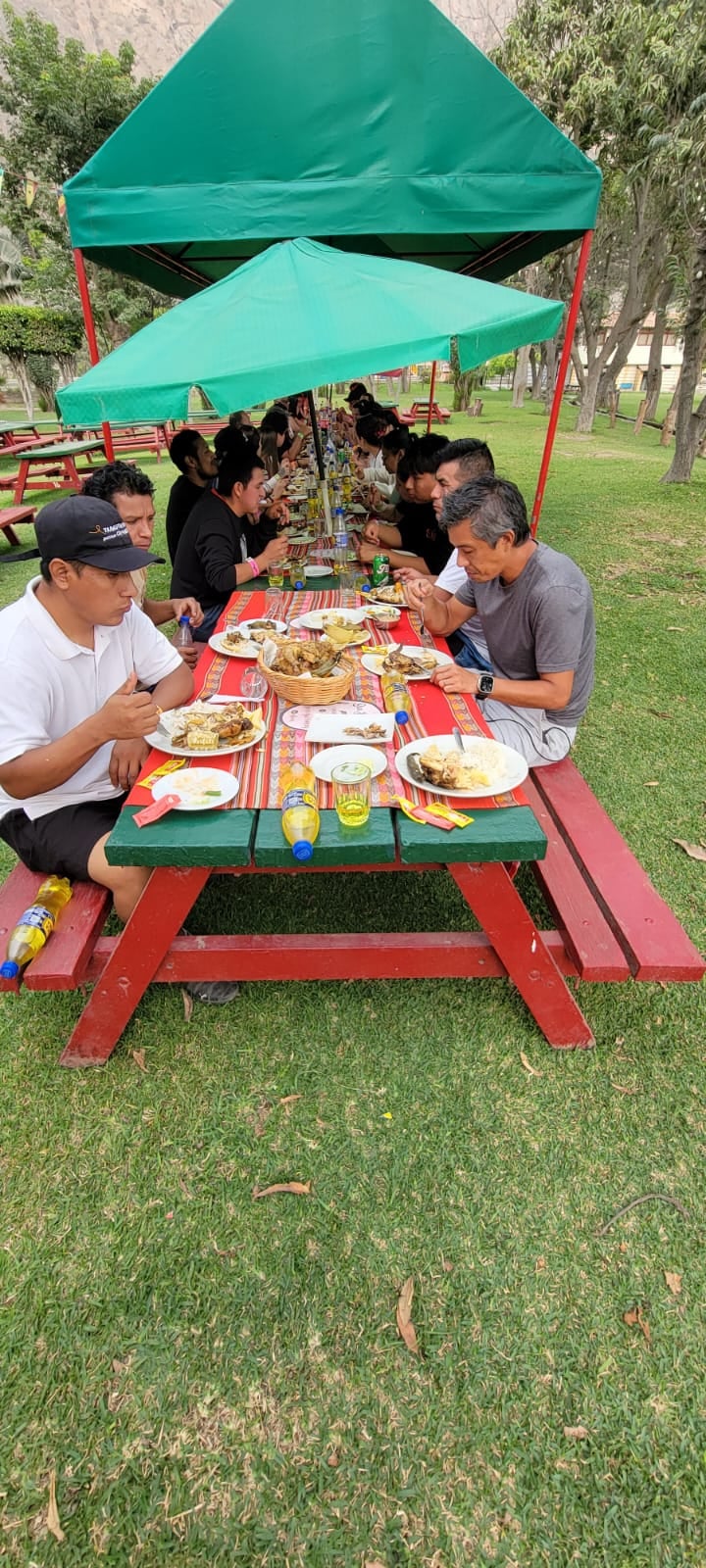 Almuerzo y camaraderia al aire libre en club campestre