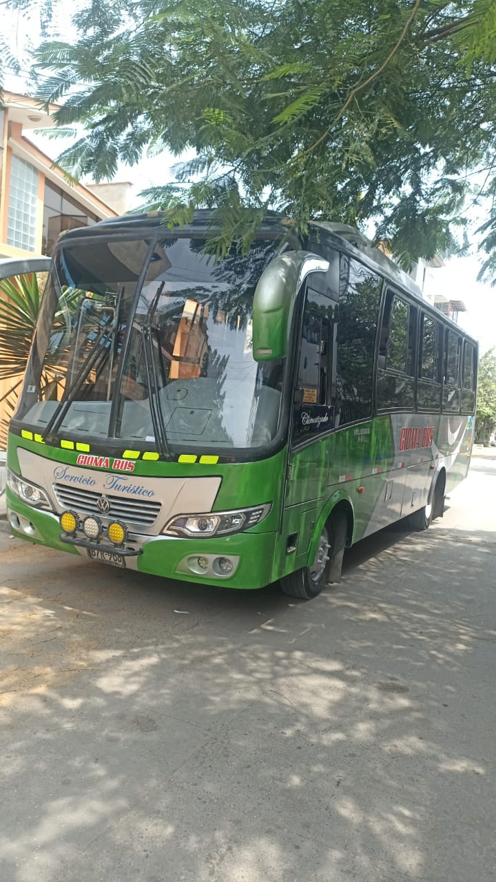 Flota de buses estacionados en punto de reunion previo al viaje